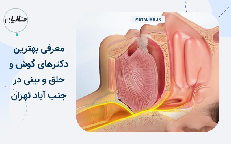 دکتر الهام اسمعیلی معرفی بهترین دکترهای گوش و حلق و بینی در جنب آباد تهران
