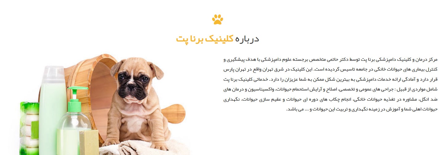 کلینیک دامپزشکی برنا پت