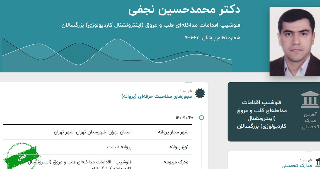 دکتر محمدحسین نجفی 