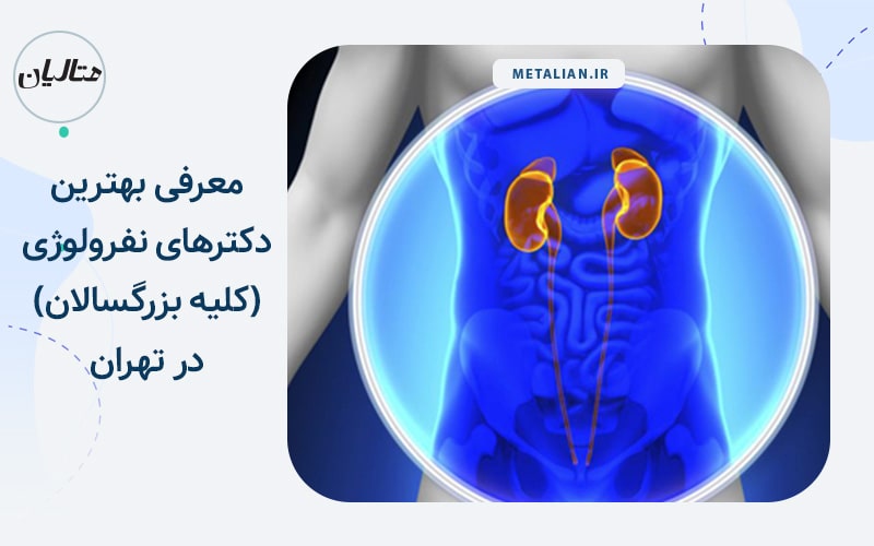معرفی بهترین دکترهای نفرولوژی (کلیه بزرگسالان) در تهران