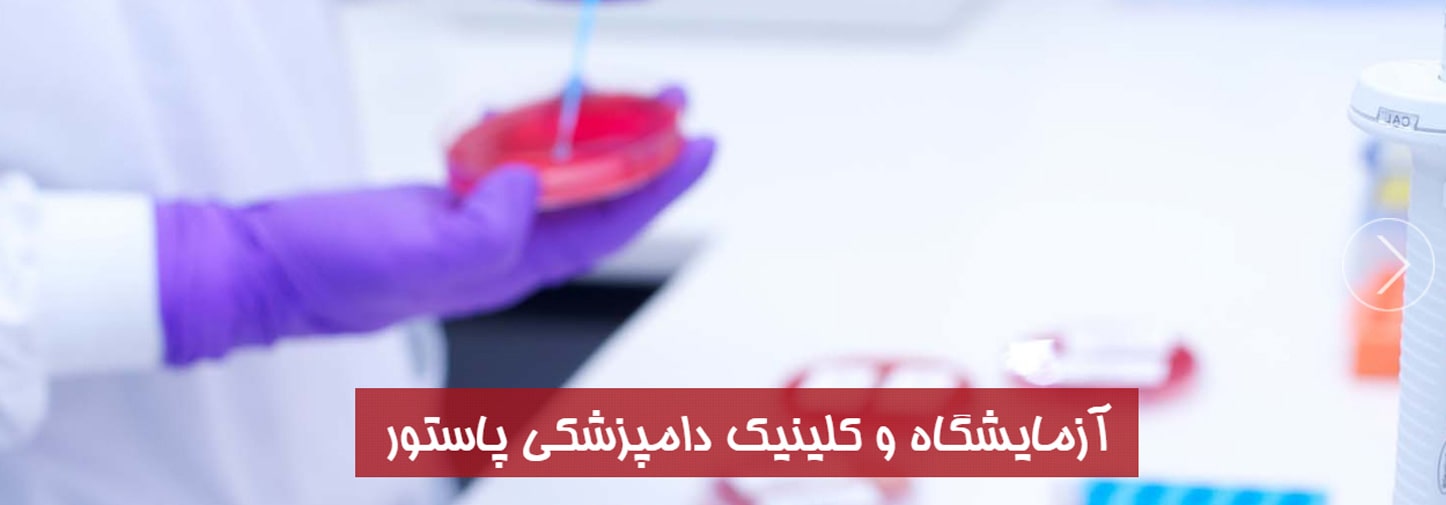 کلینیک دامپزشکی پاستور