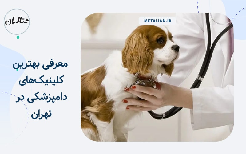 بهترین کلینیک‌های دامپزشکی در تهران